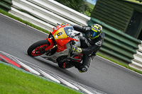 cadwell-no-limits-trackday;cadwell-park;cadwell-park-photographs;cadwell-trackday-photographs;enduro-digital-images;event-digital-images;eventdigitalimages;no-limits-trackdays;peter-wileman-photography;racing-digital-images;trackday-digital-images;trackday-photos